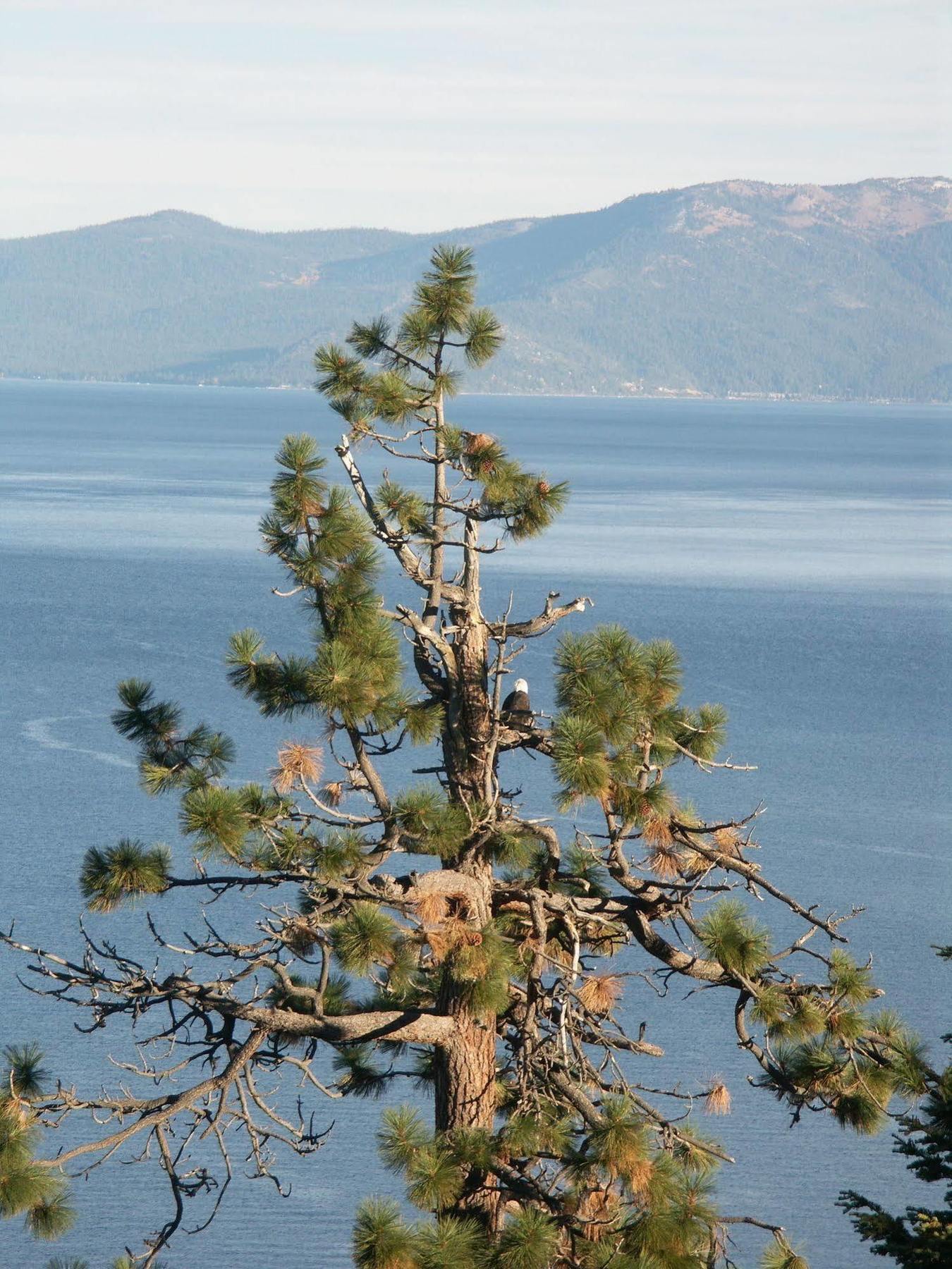 Where Eagles Fly Bed & Breakfast Elk Point Bagian luar foto